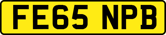 FE65NPB