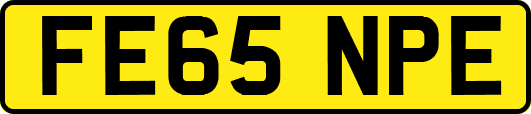 FE65NPE