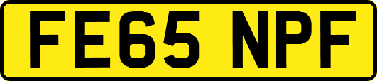 FE65NPF