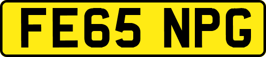 FE65NPG