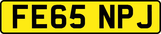 FE65NPJ