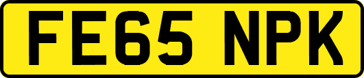 FE65NPK