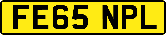 FE65NPL