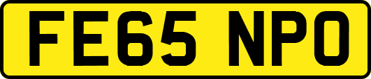 FE65NPO