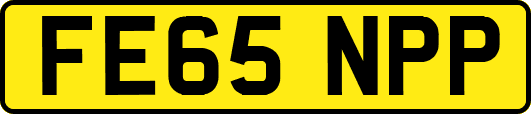 FE65NPP