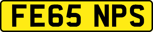 FE65NPS
