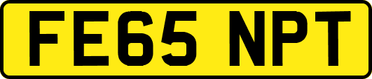 FE65NPT