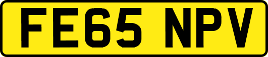 FE65NPV
