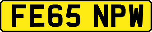 FE65NPW