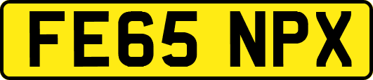 FE65NPX