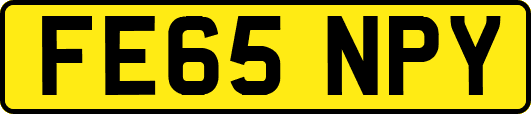 FE65NPY