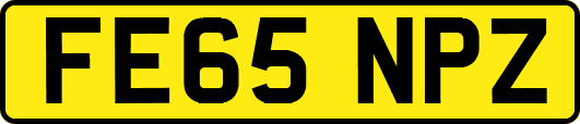 FE65NPZ