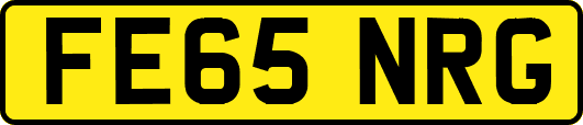 FE65NRG