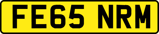FE65NRM