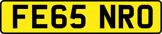 FE65NRO