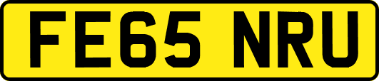 FE65NRU