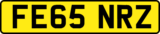FE65NRZ