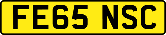 FE65NSC