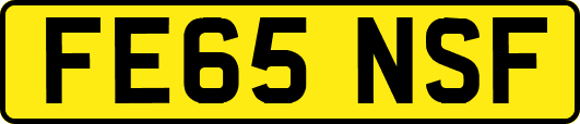 FE65NSF