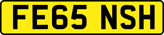 FE65NSH