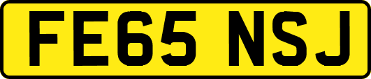 FE65NSJ