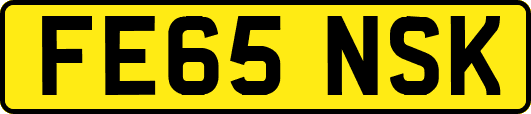 FE65NSK