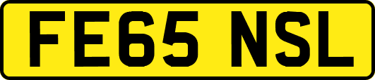 FE65NSL