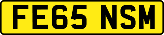 FE65NSM