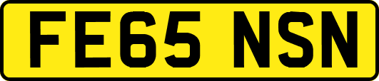 FE65NSN