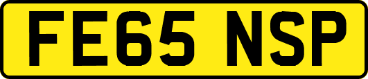 FE65NSP