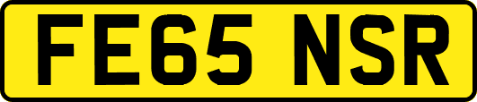 FE65NSR