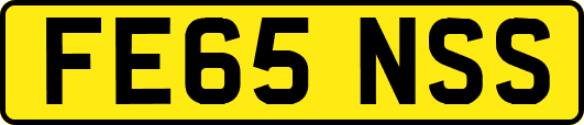 FE65NSS