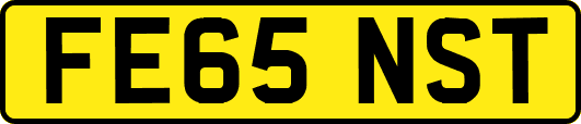 FE65NST