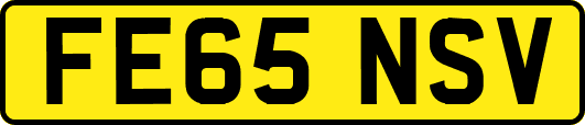 FE65NSV