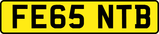 FE65NTB