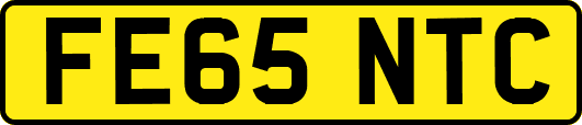FE65NTC