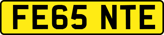 FE65NTE