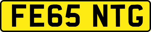 FE65NTG