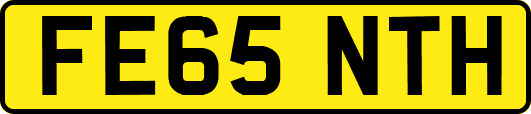 FE65NTH