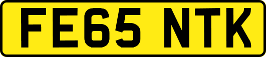 FE65NTK