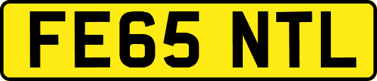 FE65NTL