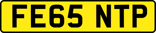 FE65NTP