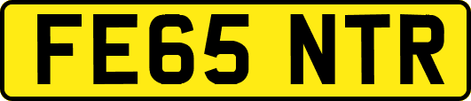 FE65NTR