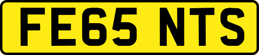 FE65NTS