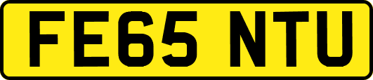 FE65NTU