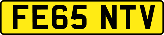 FE65NTV