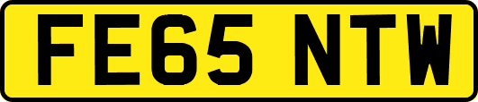 FE65NTW