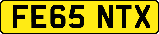 FE65NTX
