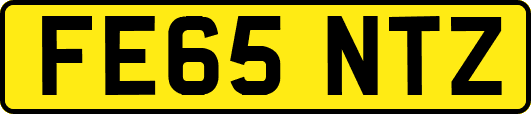 FE65NTZ