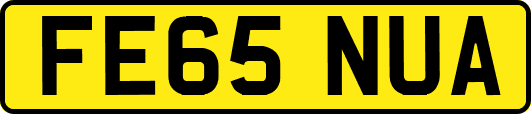 FE65NUA